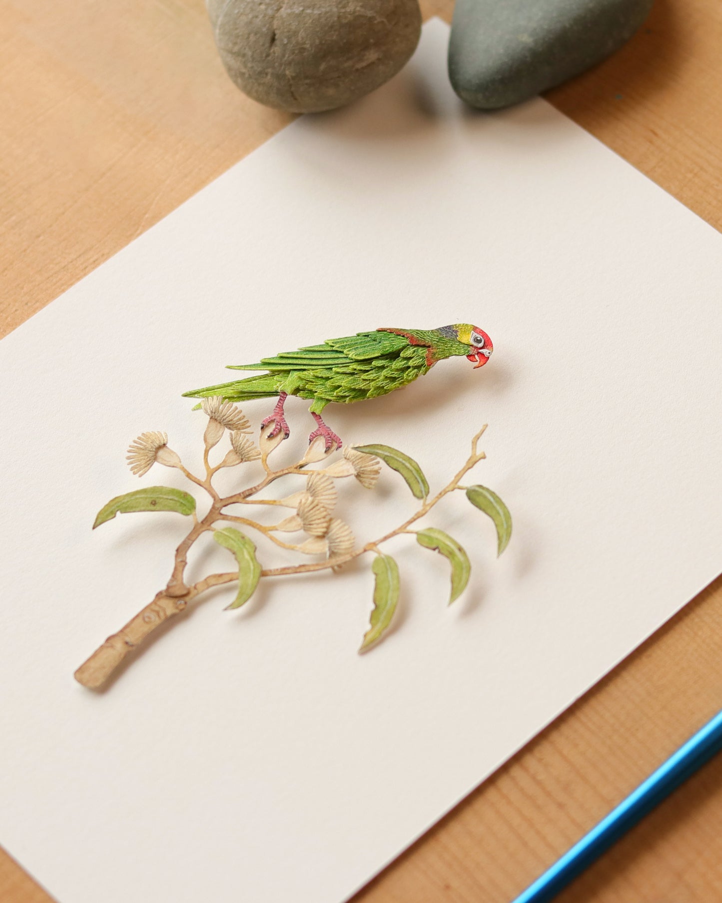 Varied lorikeet