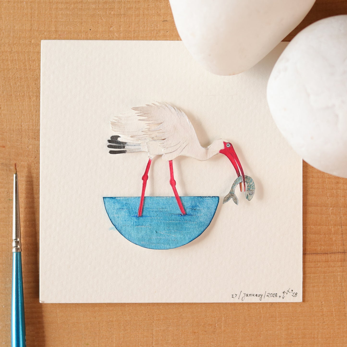 American white Ibis