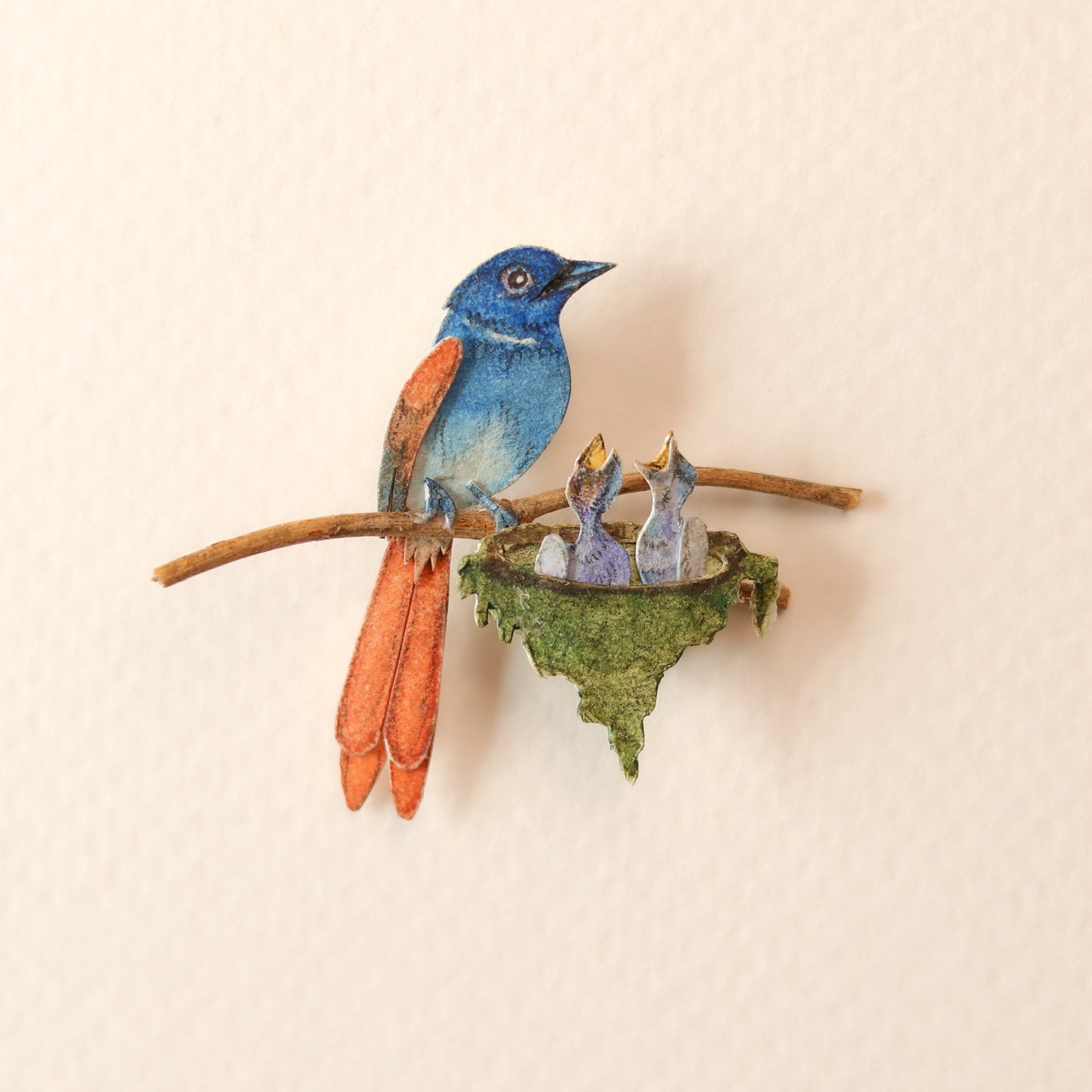 Asian paradise Flycatcher