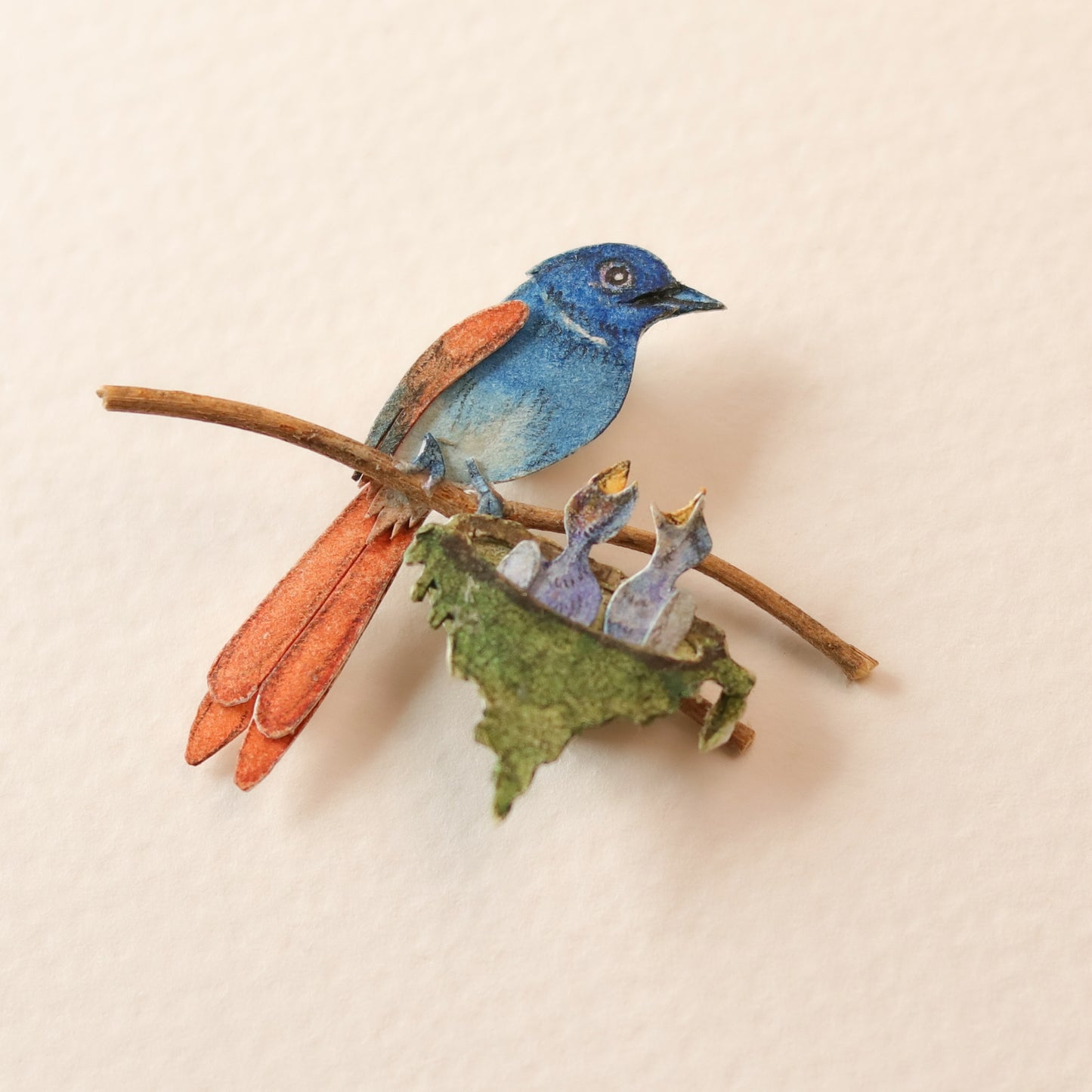 Asian paradise Flycatcher