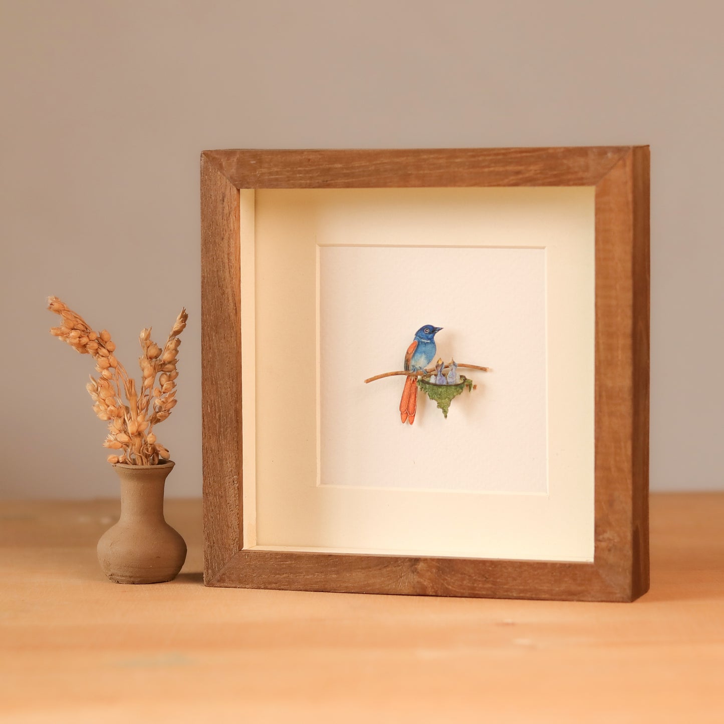 Asian paradise Flycatcher