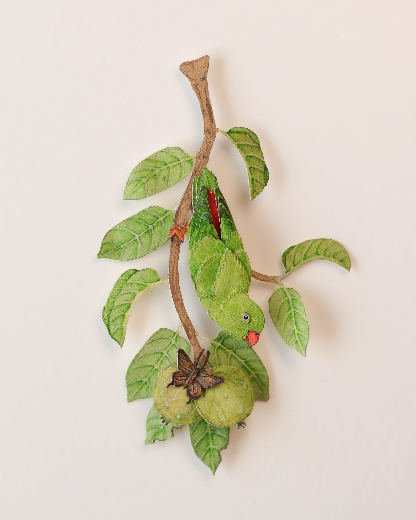 Vernal Hanging Parrot