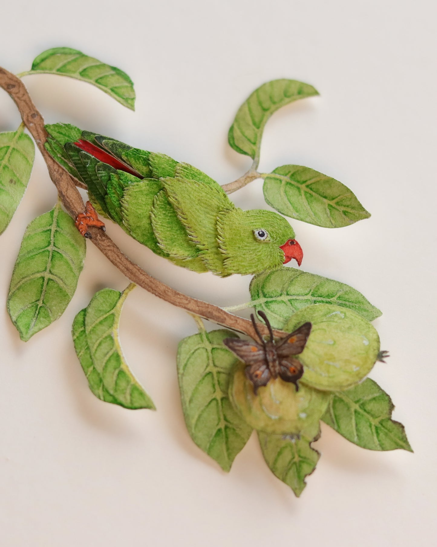 Vernal Hanging Parrot