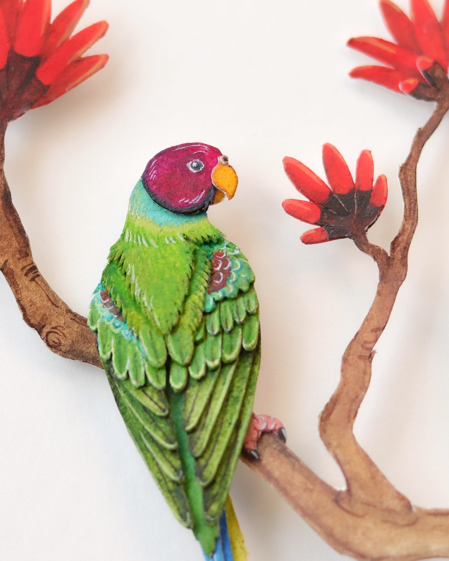 Plum-headed Parakeet