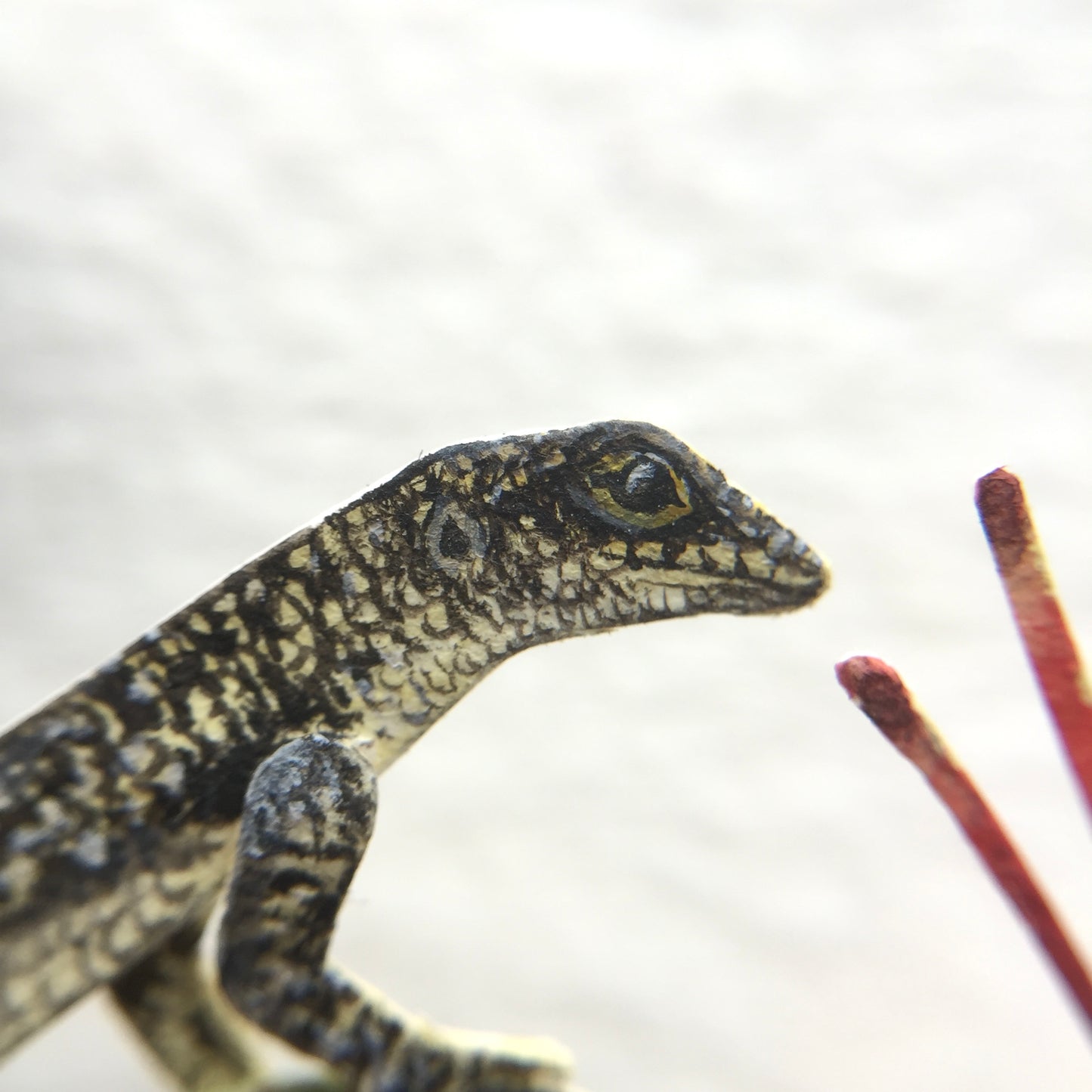 The Noronha Skink
