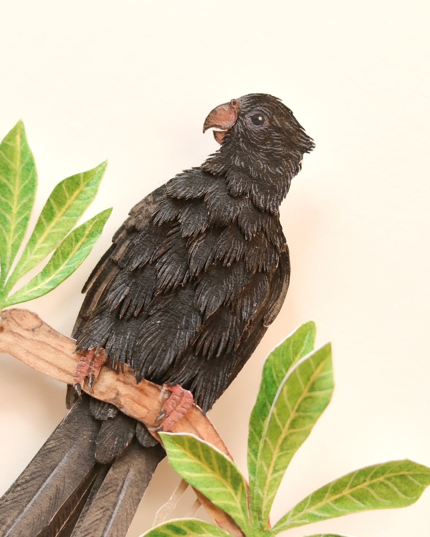 Lesser Vasa Parrot