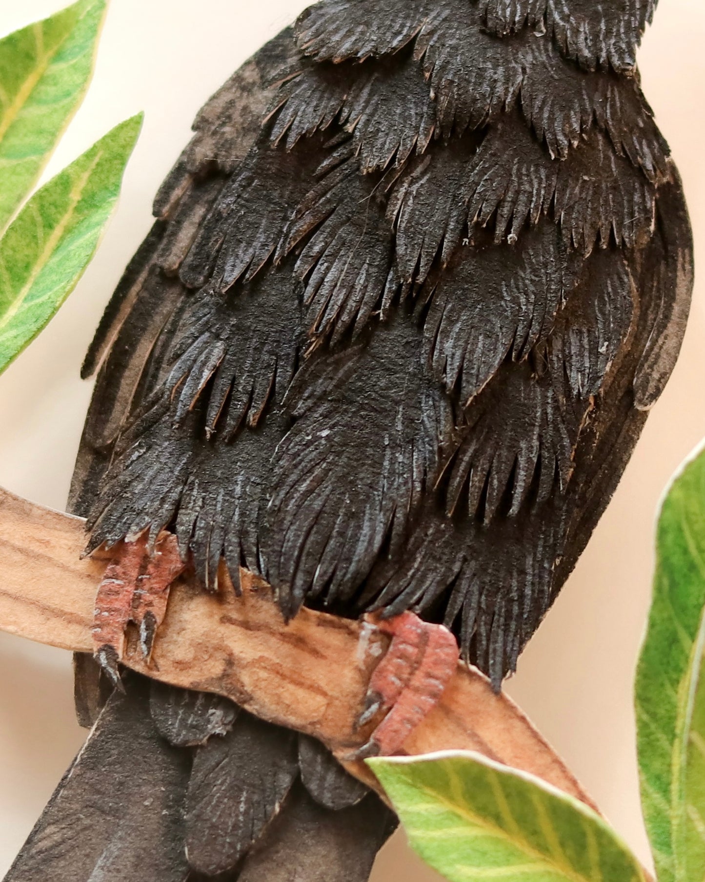 Lesser Vasa Parrot