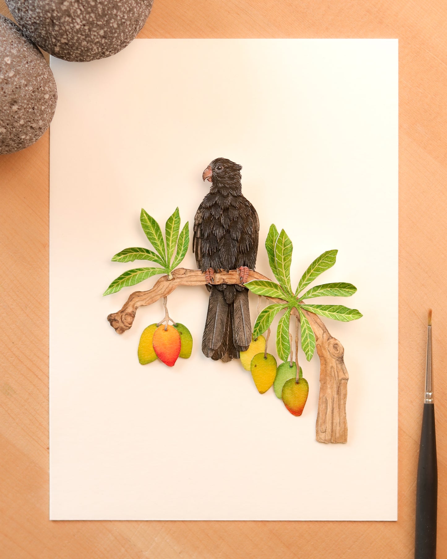 Lesser Vasa Parrot