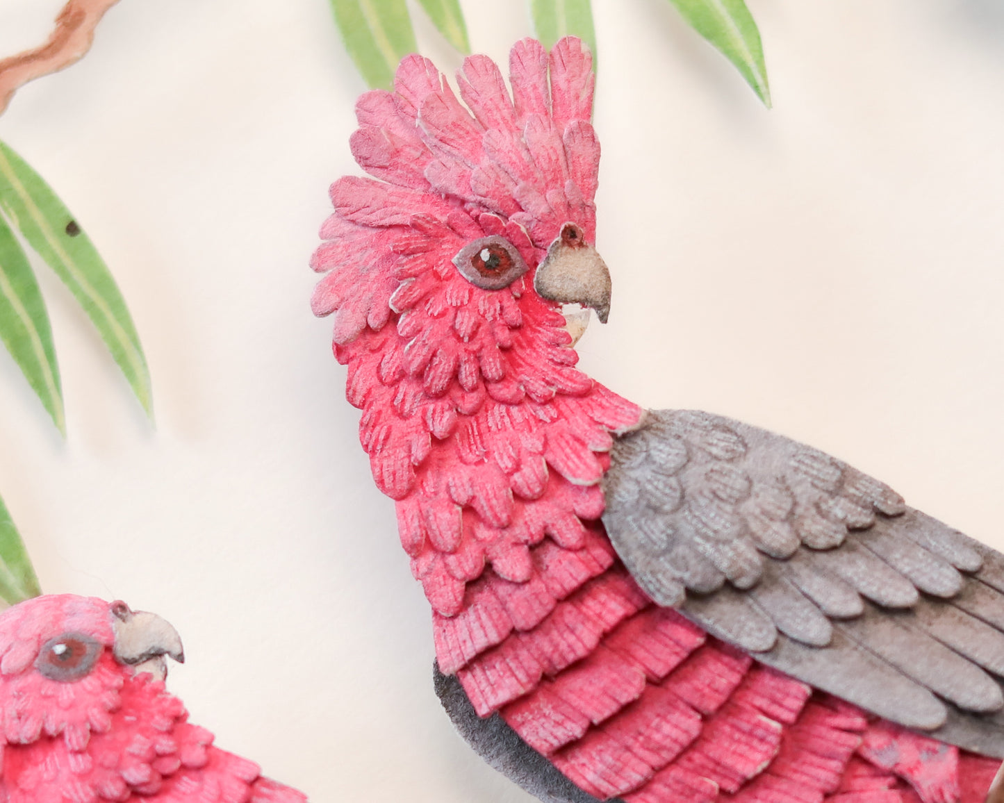 Galah Cockatoo
