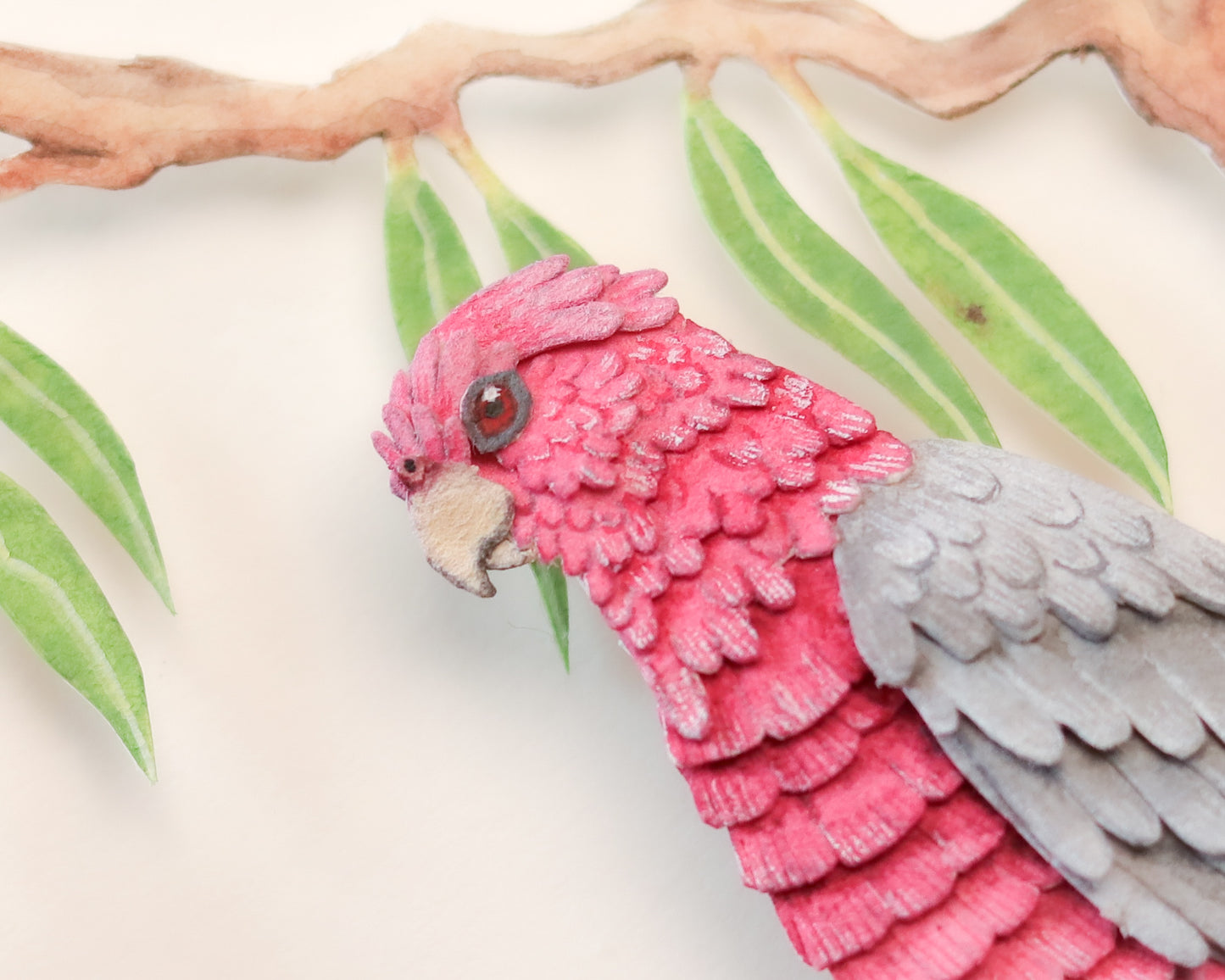 Galah Cockatoo