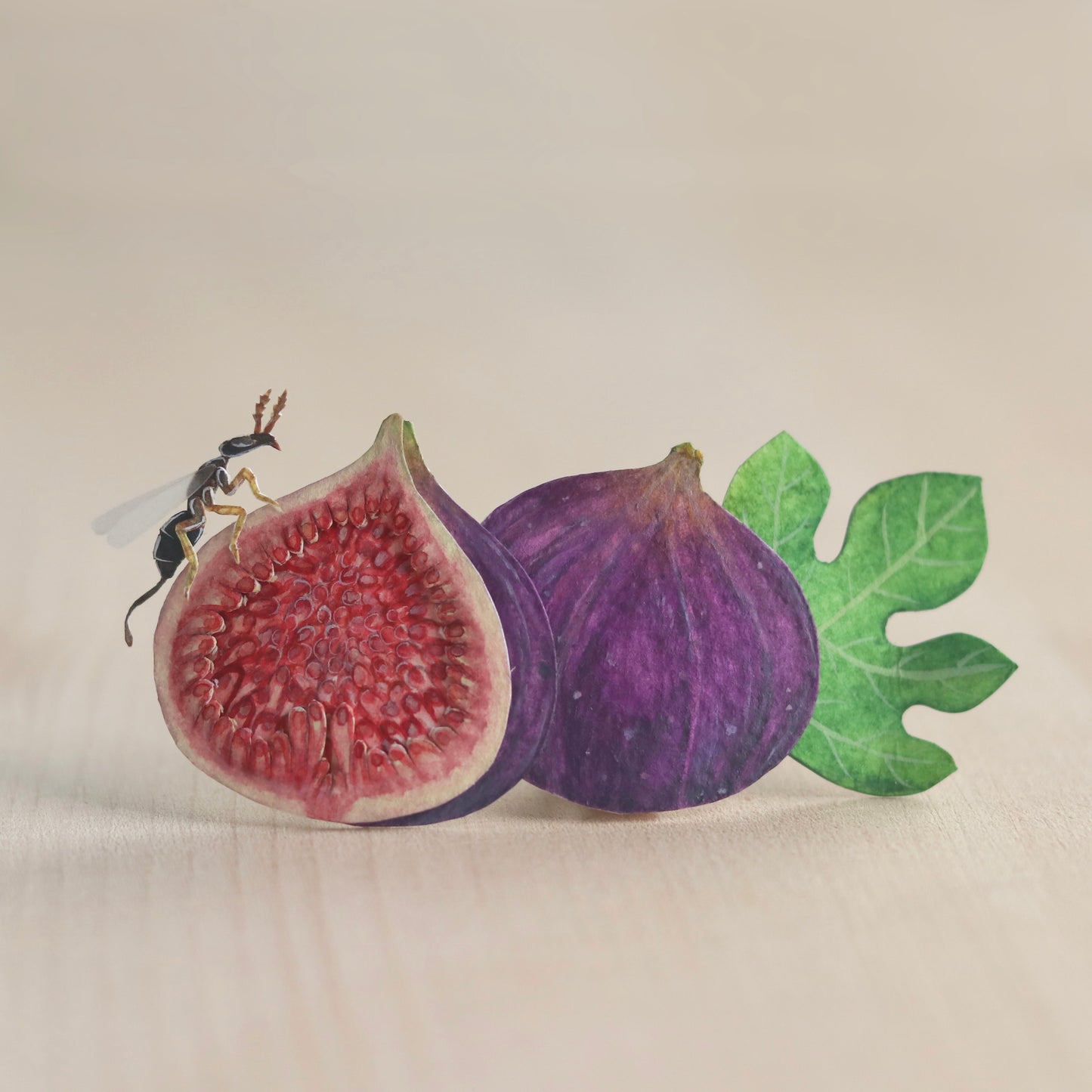 Fig wasp