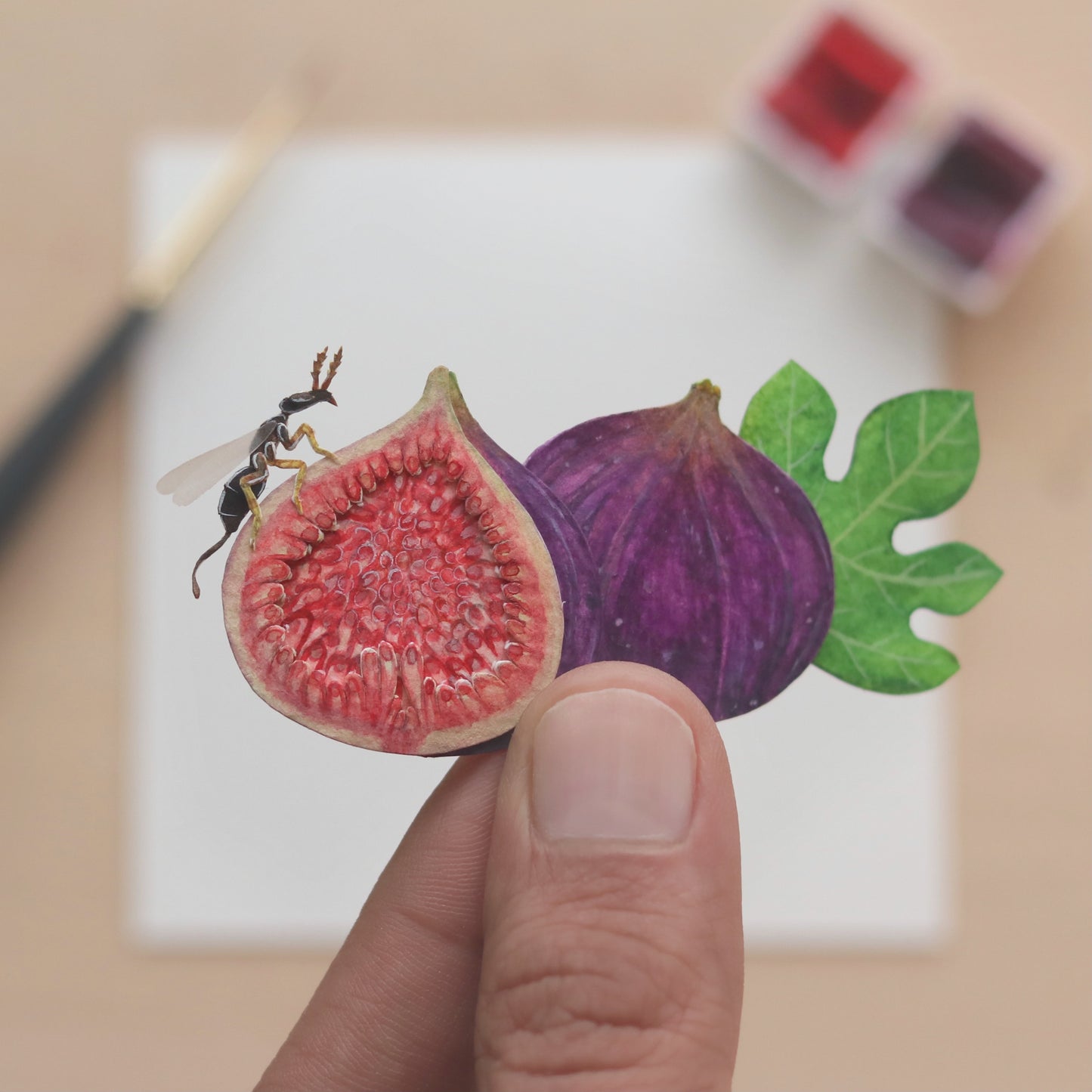 Fig wasp