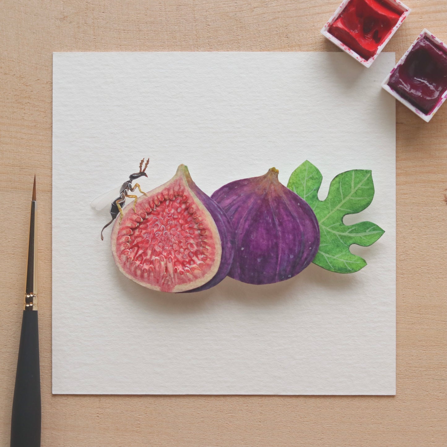 Fig wasp