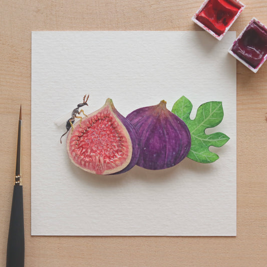 Fig wasp