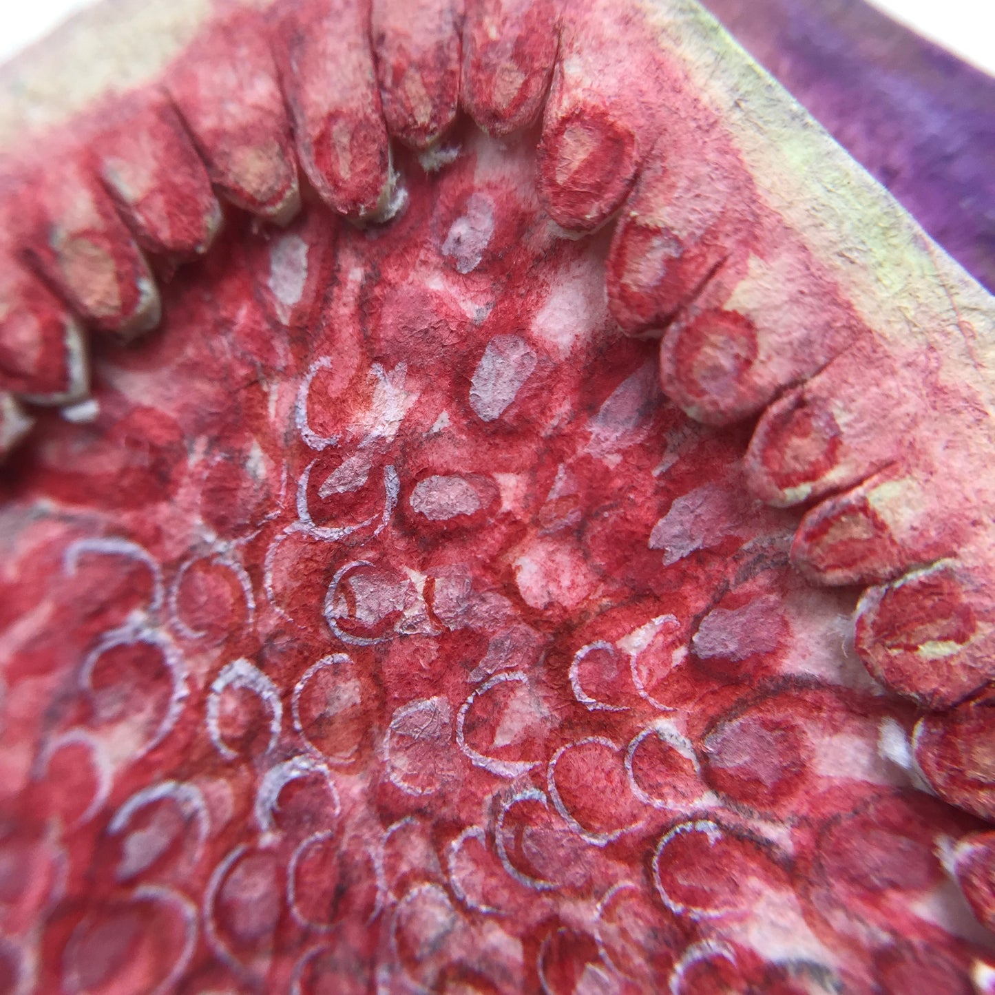 Fig wasp