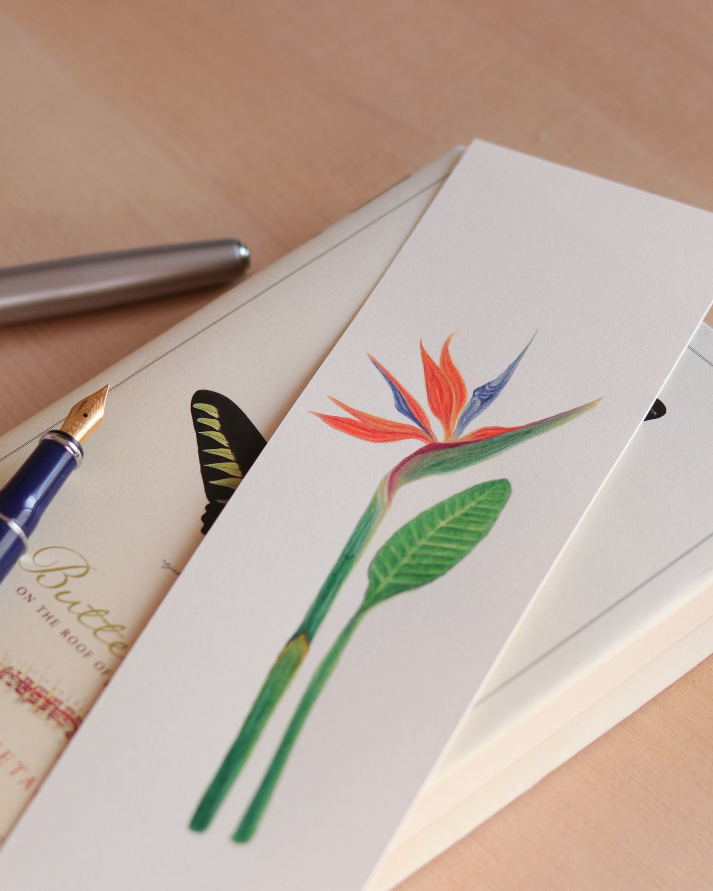 Birds of Paradise flower - Original botanical illustration