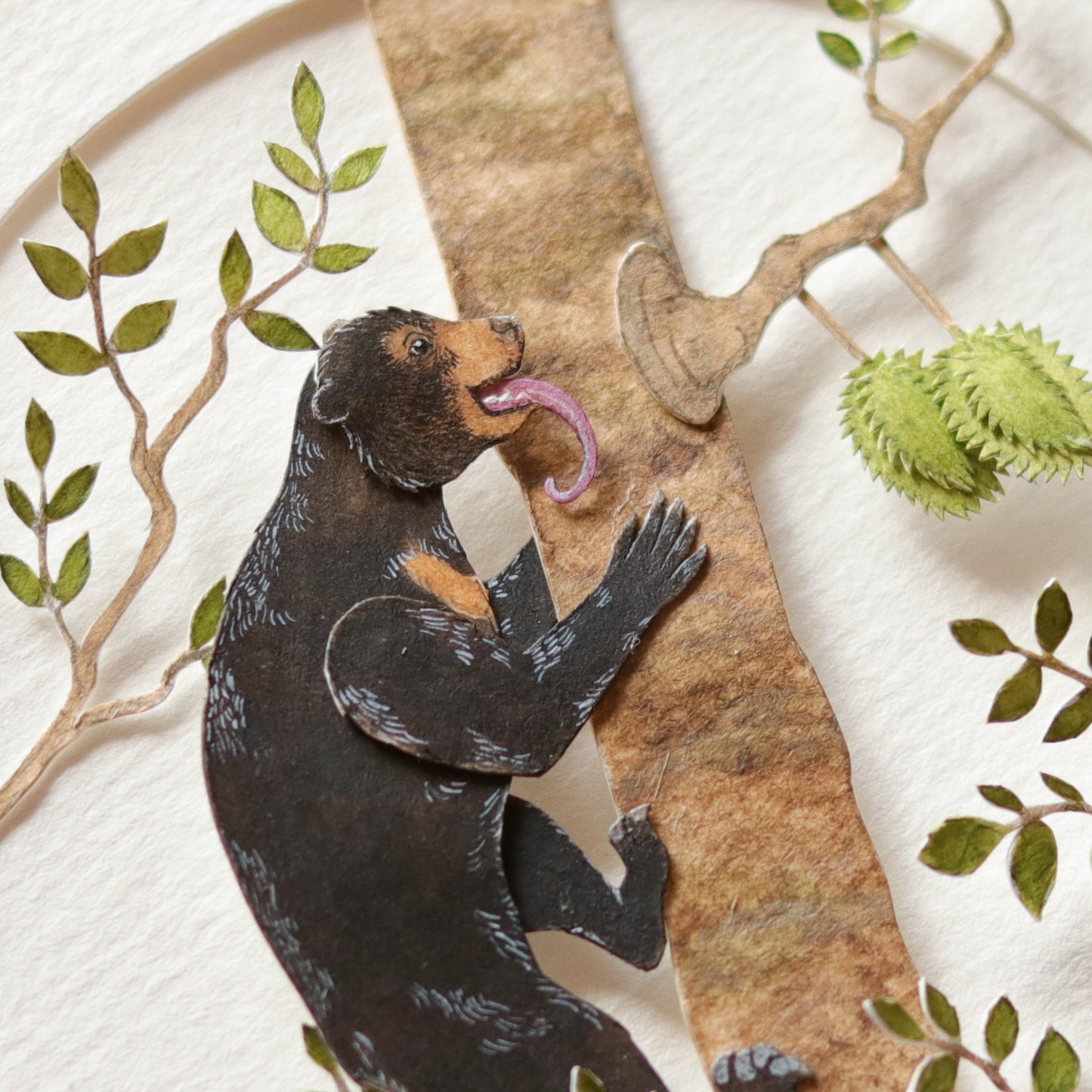 Sun Bear