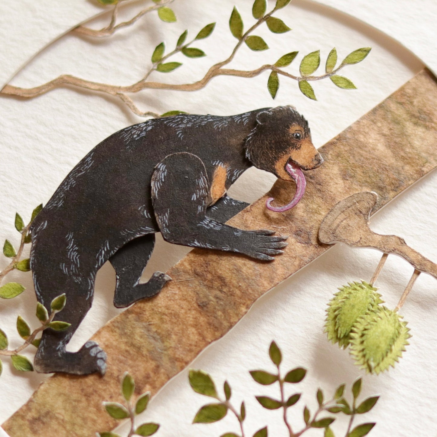 Sun Bear