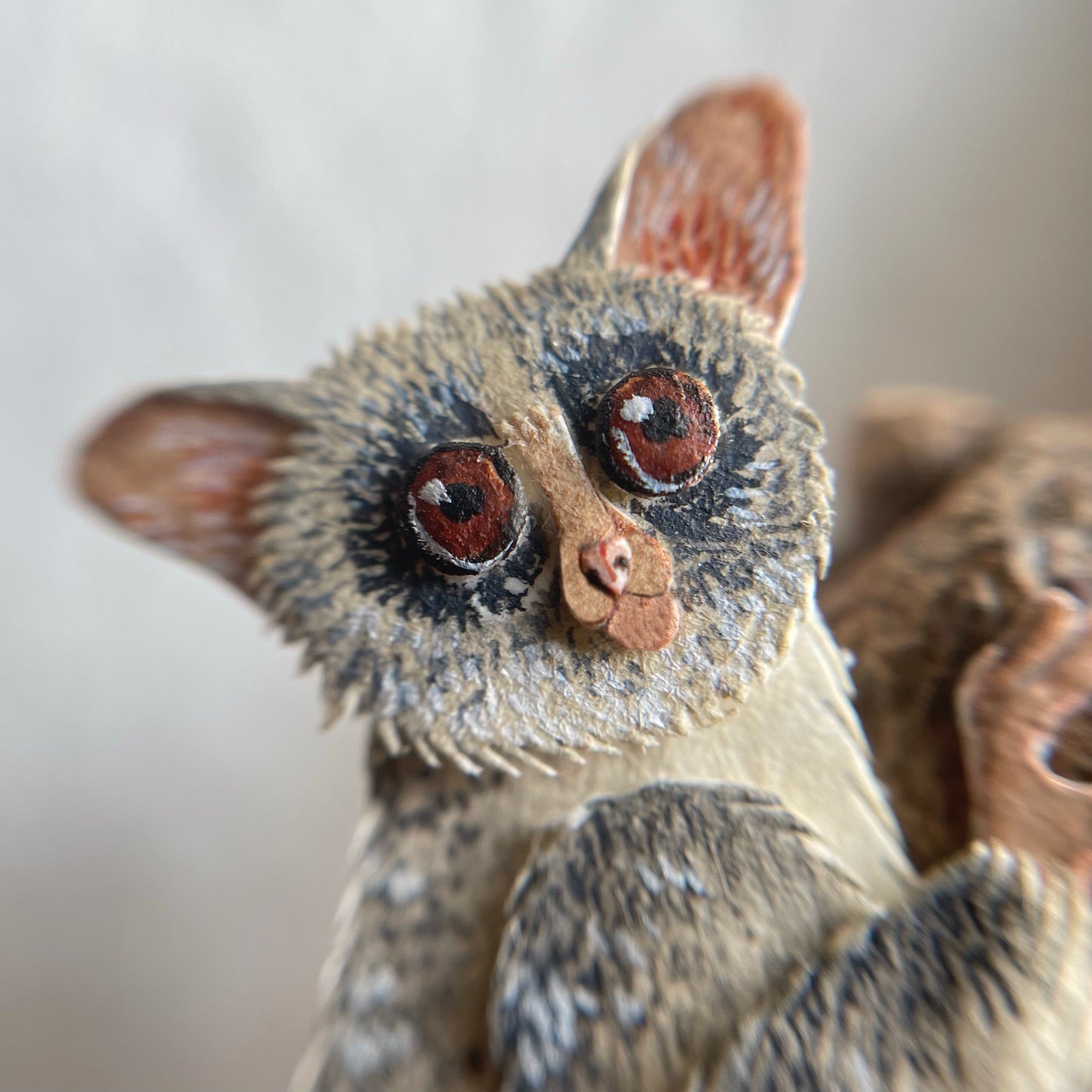 Bush Baby