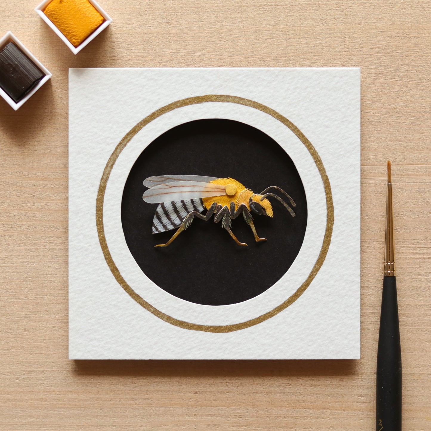 Squash Bee