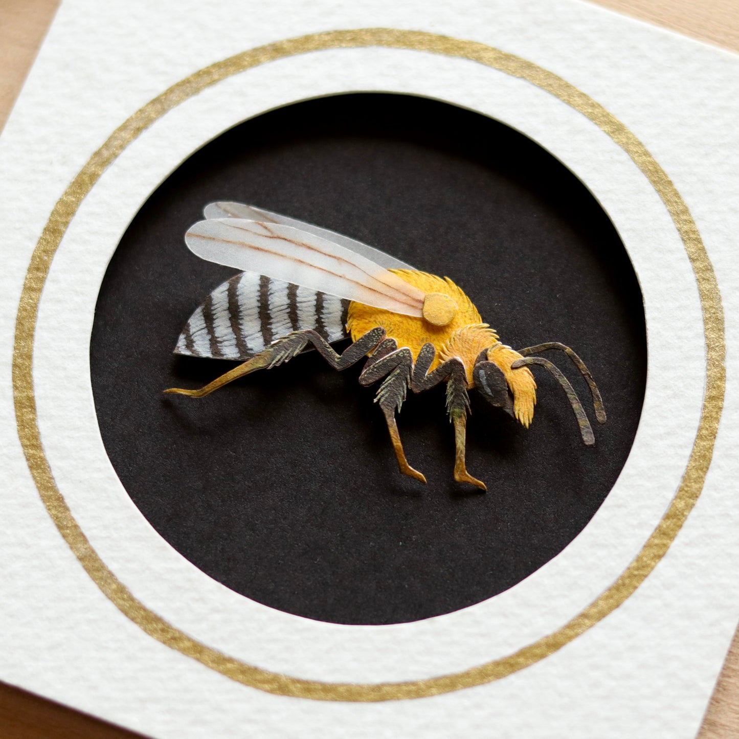 Squash Bee