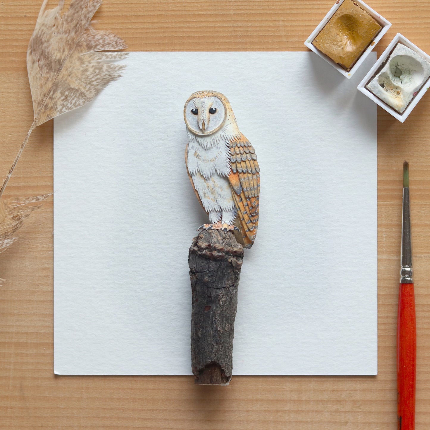 Barn owl