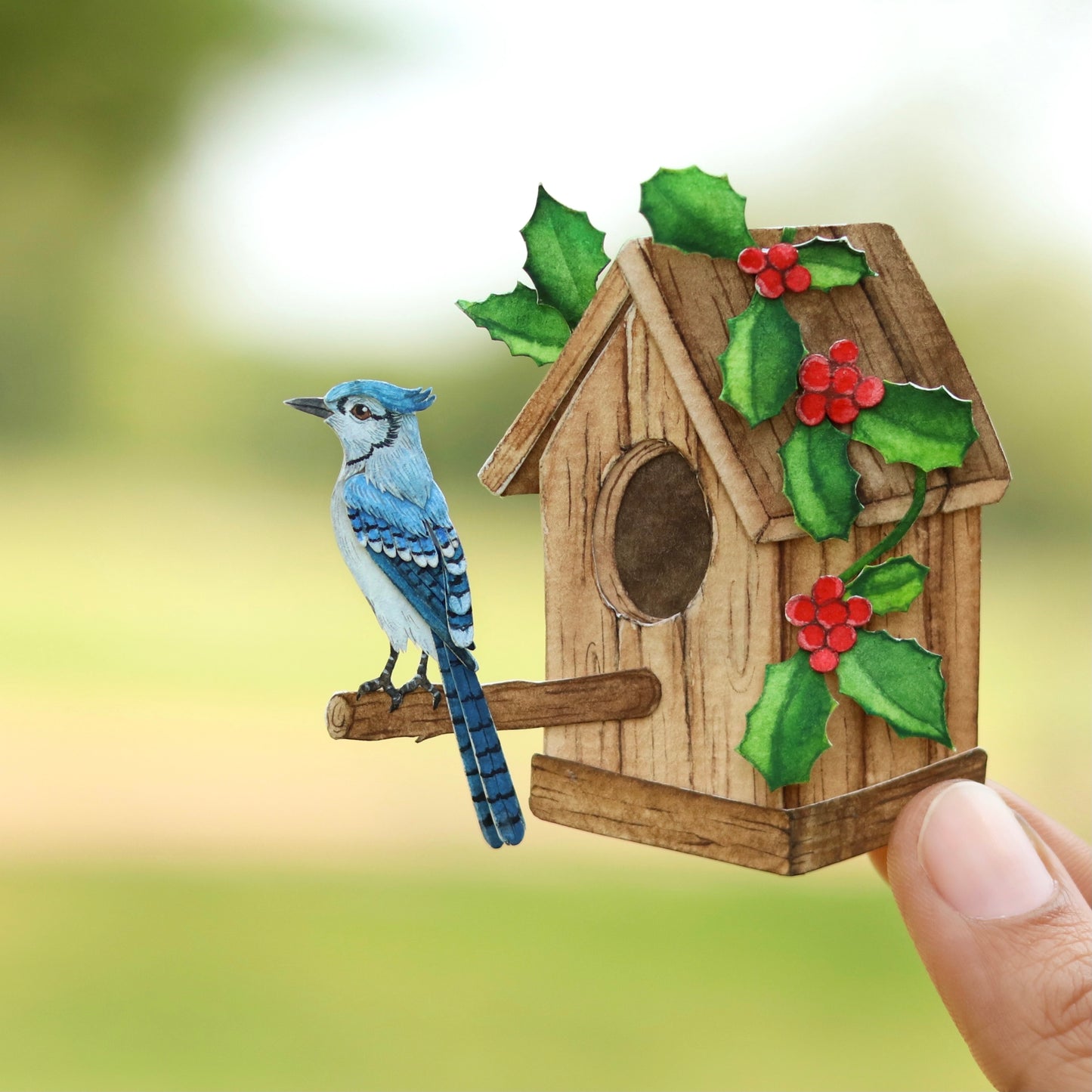 Blue Jay