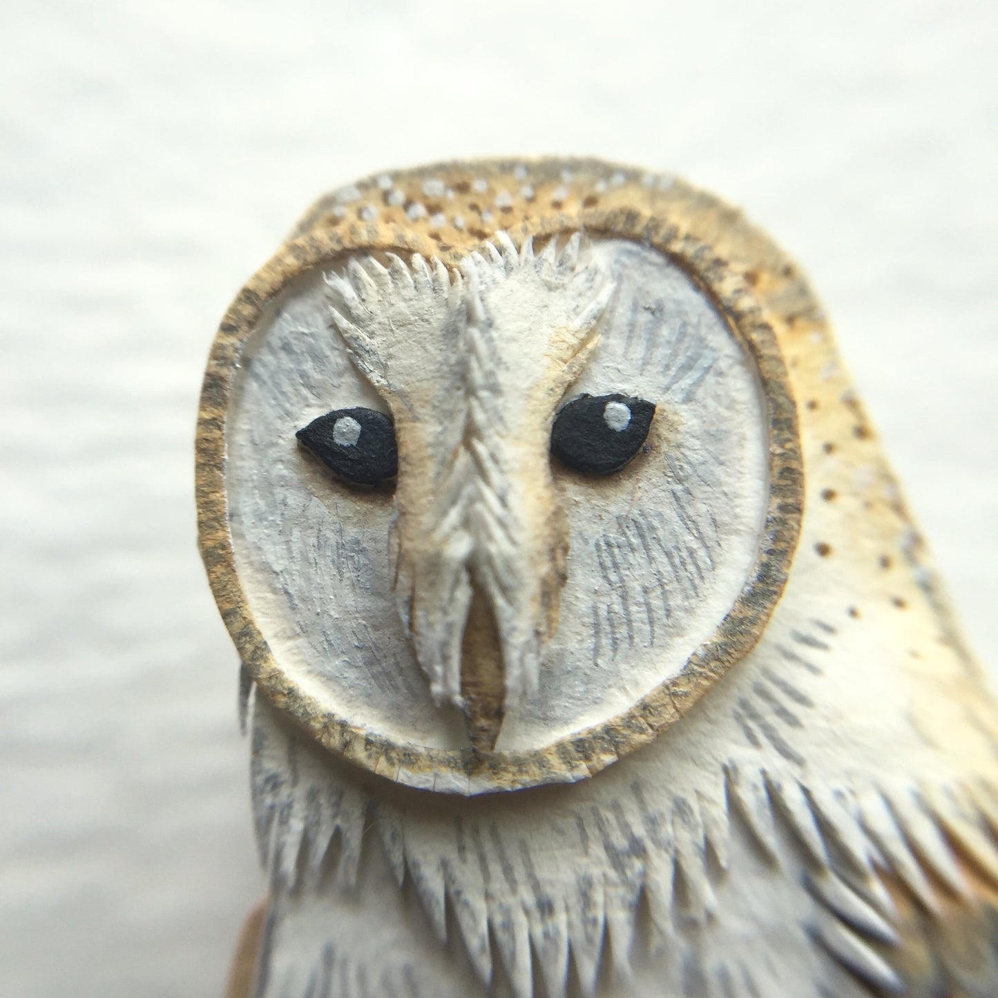 Barn owl