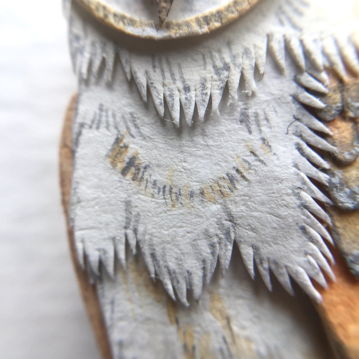 Barn owl