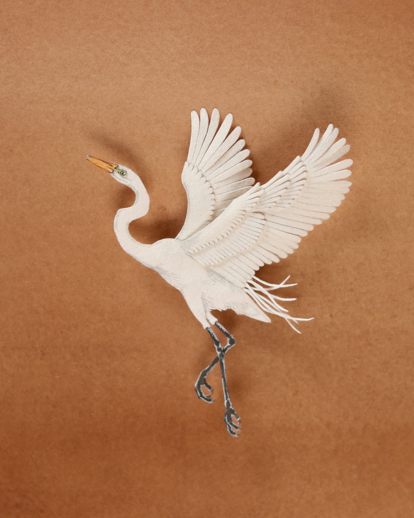 Great Egret flying over dunes