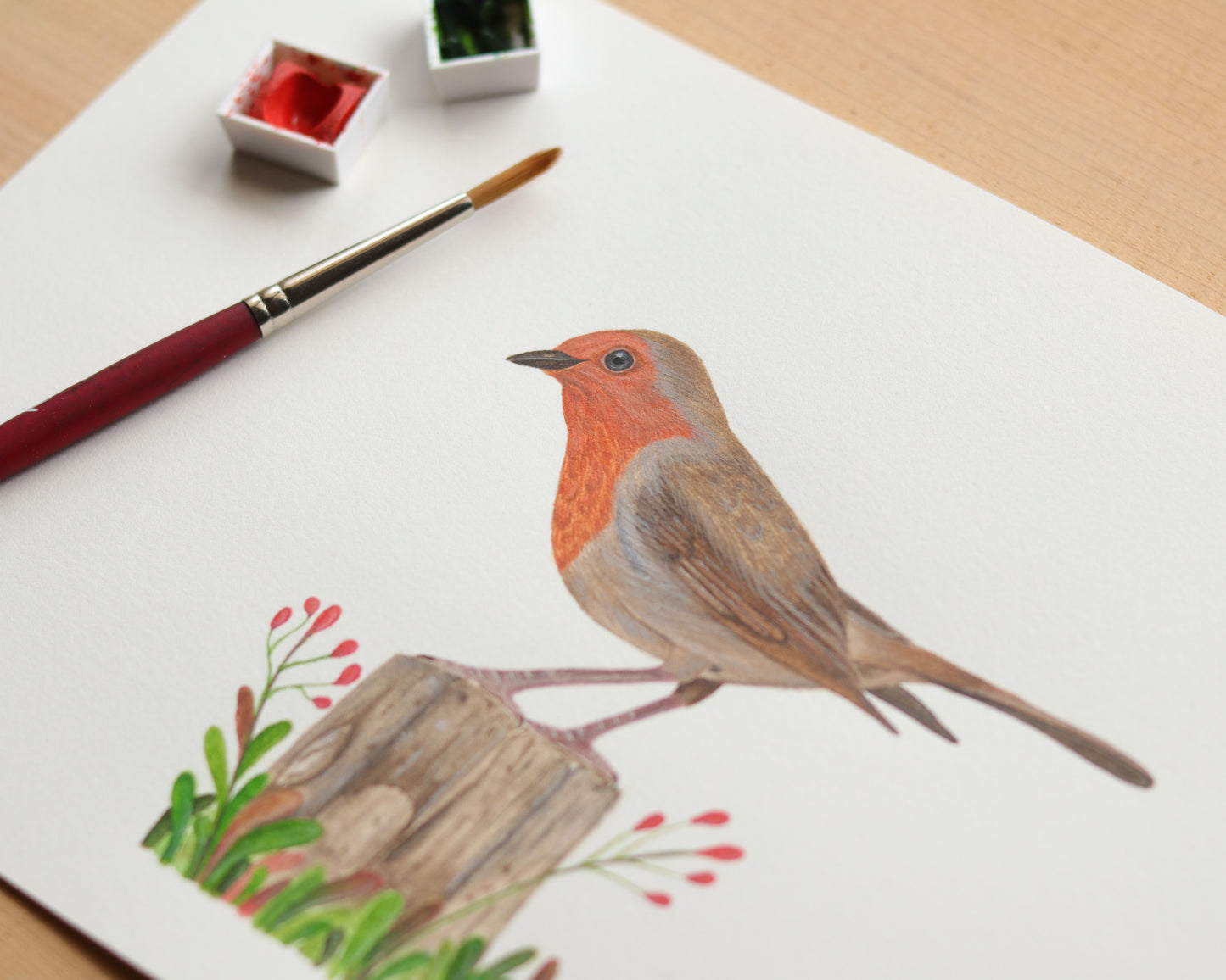 European robin