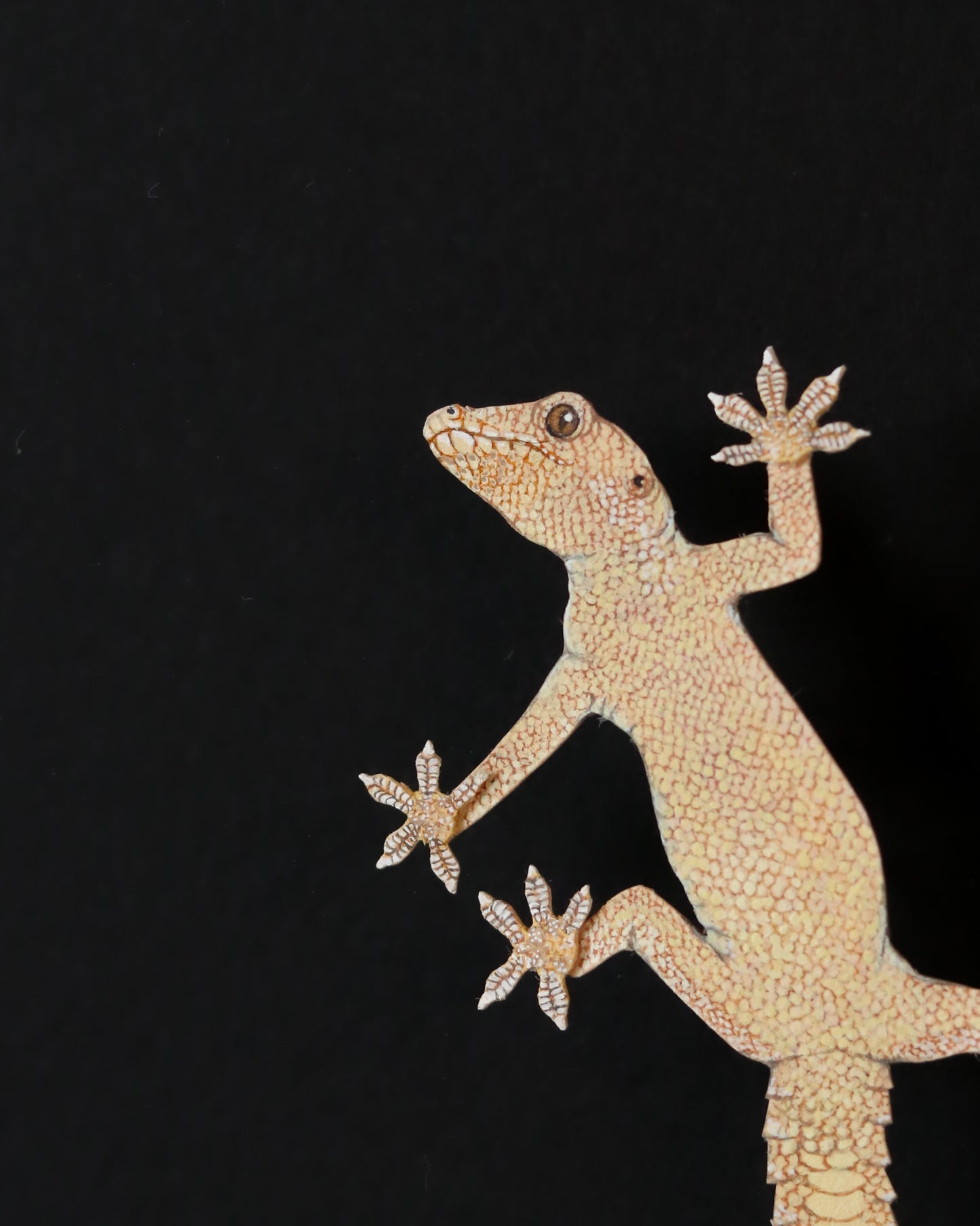 Herpetophobia
