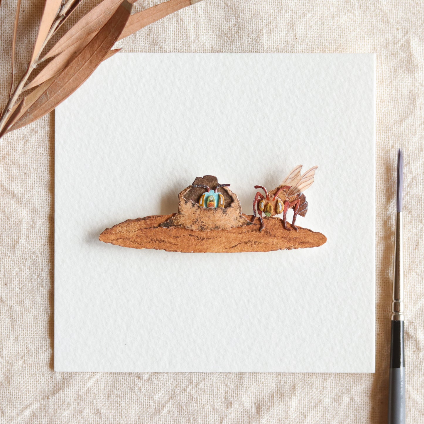 Dawson's Burrowing Bee