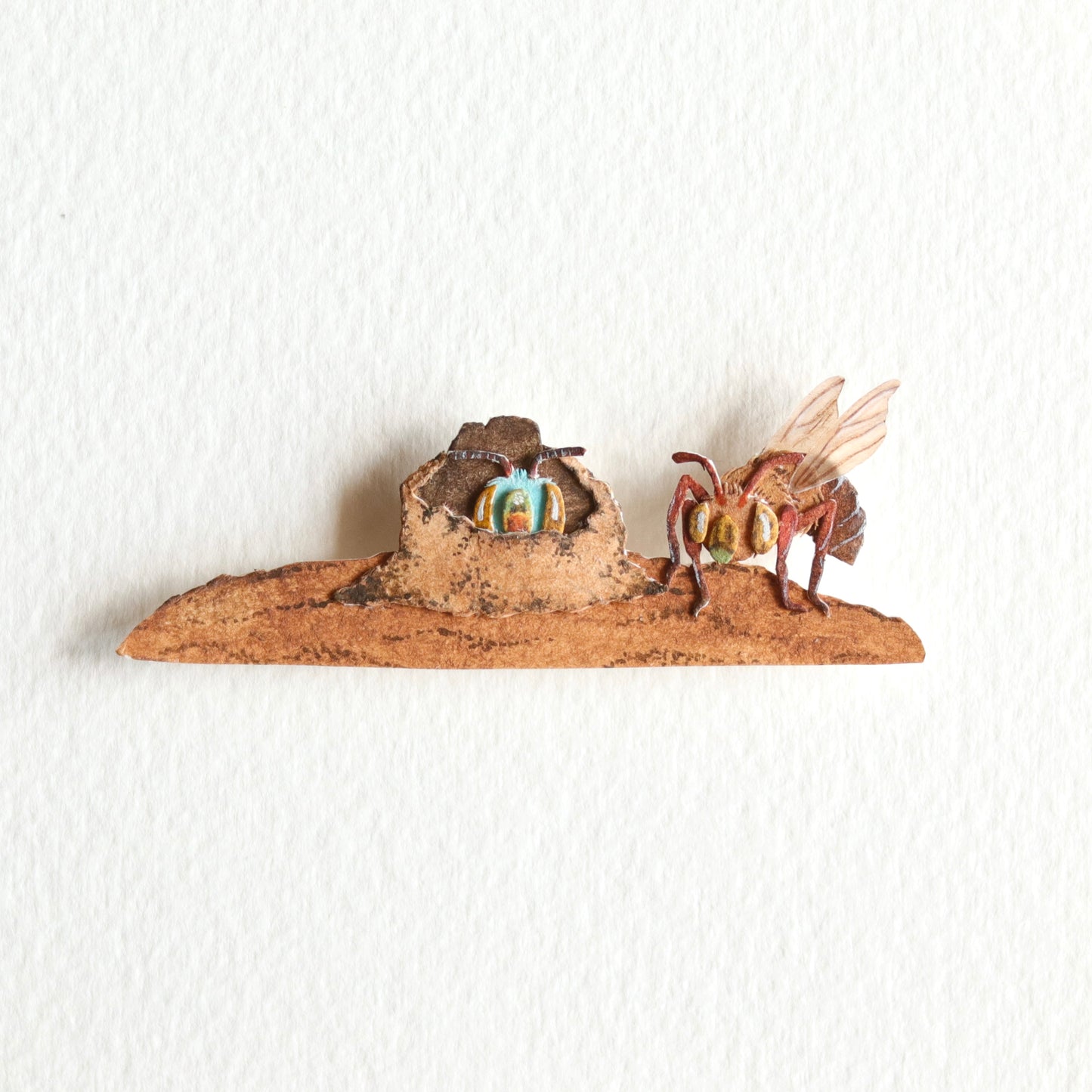 Dawson's Burrowing Bee