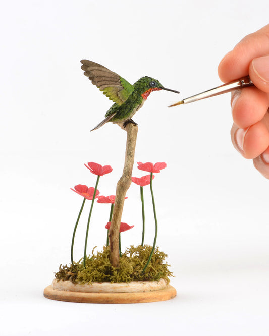 Ruby throated hummingbird in blossoms