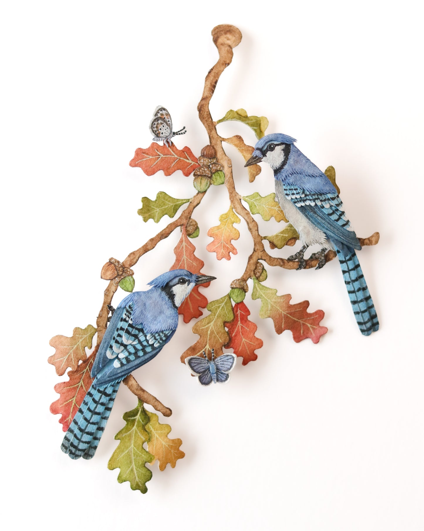 Blue Jays in autumn