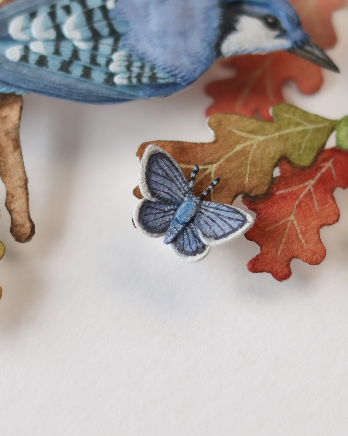 Blue Jays in autumn