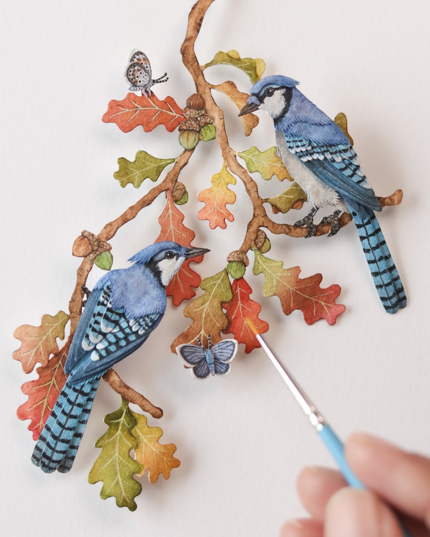 Blue Jays in autumn
