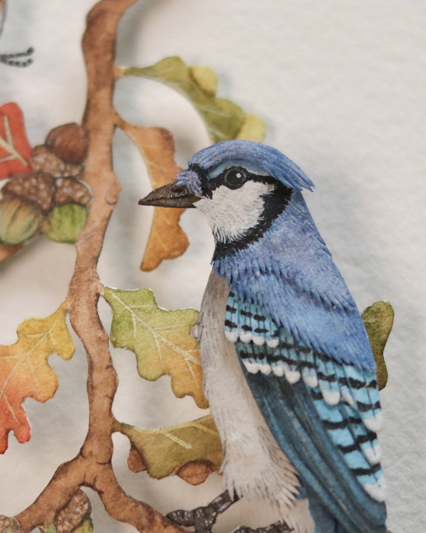 Blue Jays in autumn