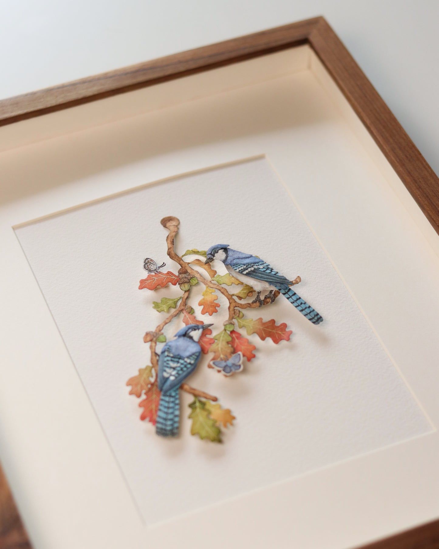 Blue Jays in autumn