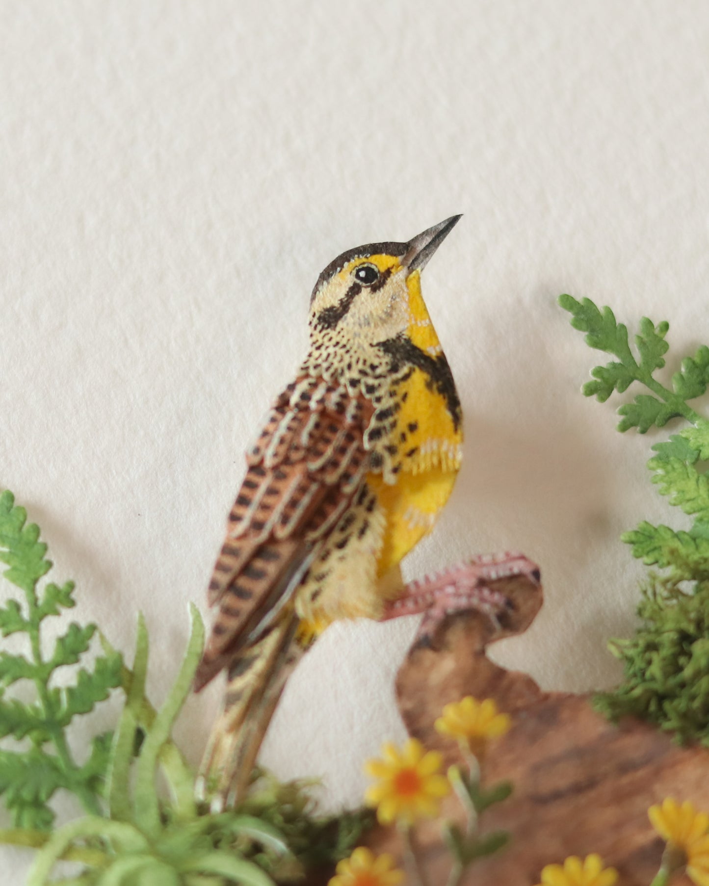 Eastern Meadowlark