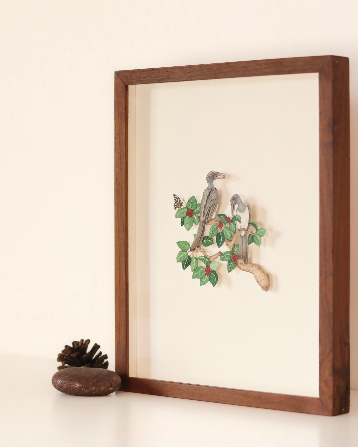 Indian Grey Hornbill