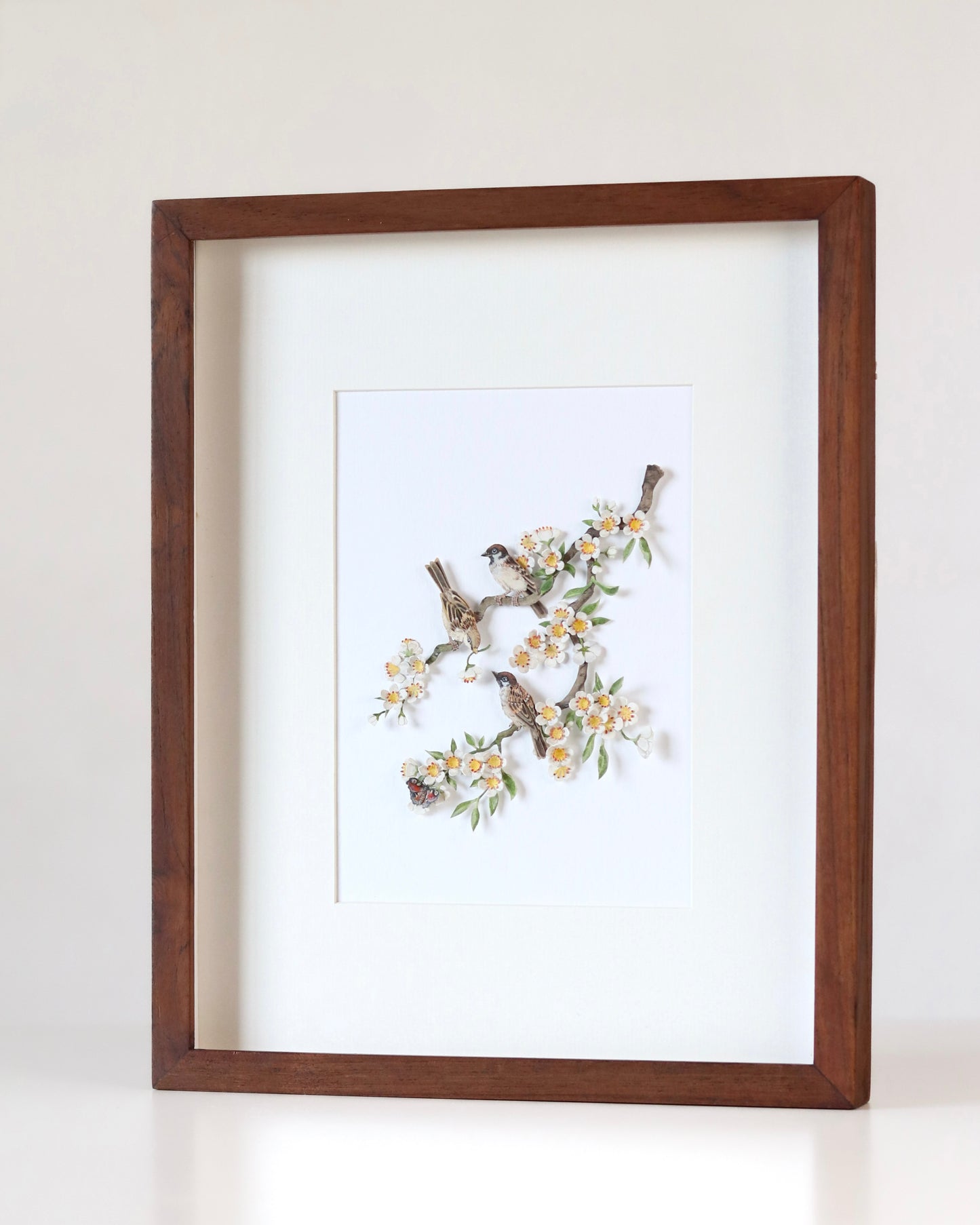 House Sparrow in cherry blossom