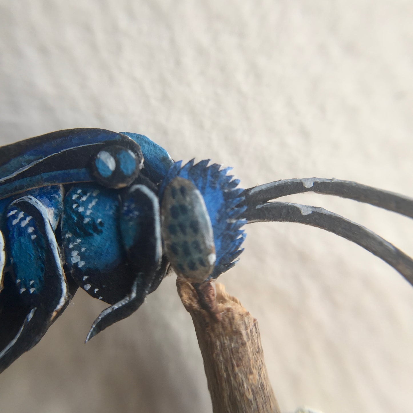 Neon Cuckoo Bee