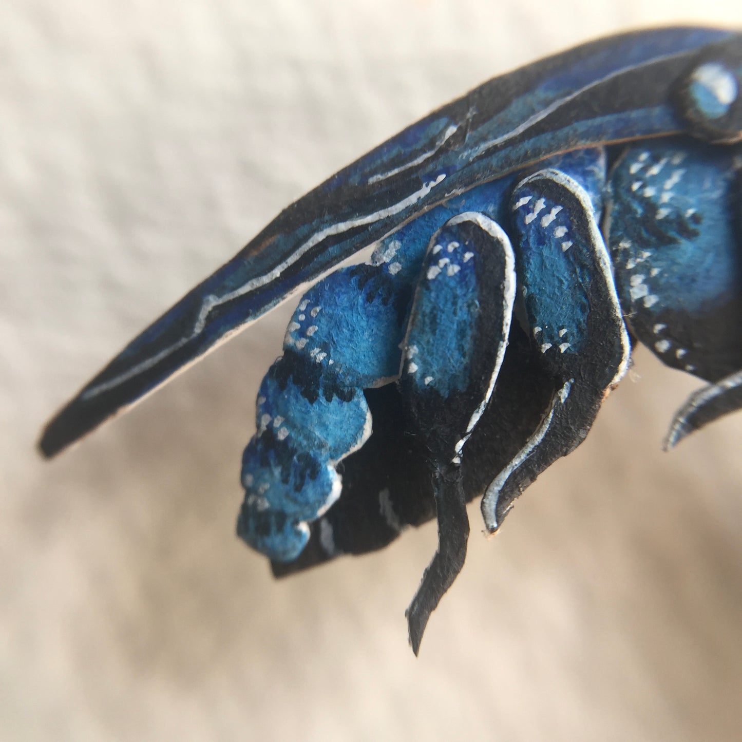 Neon Cuckoo Bee