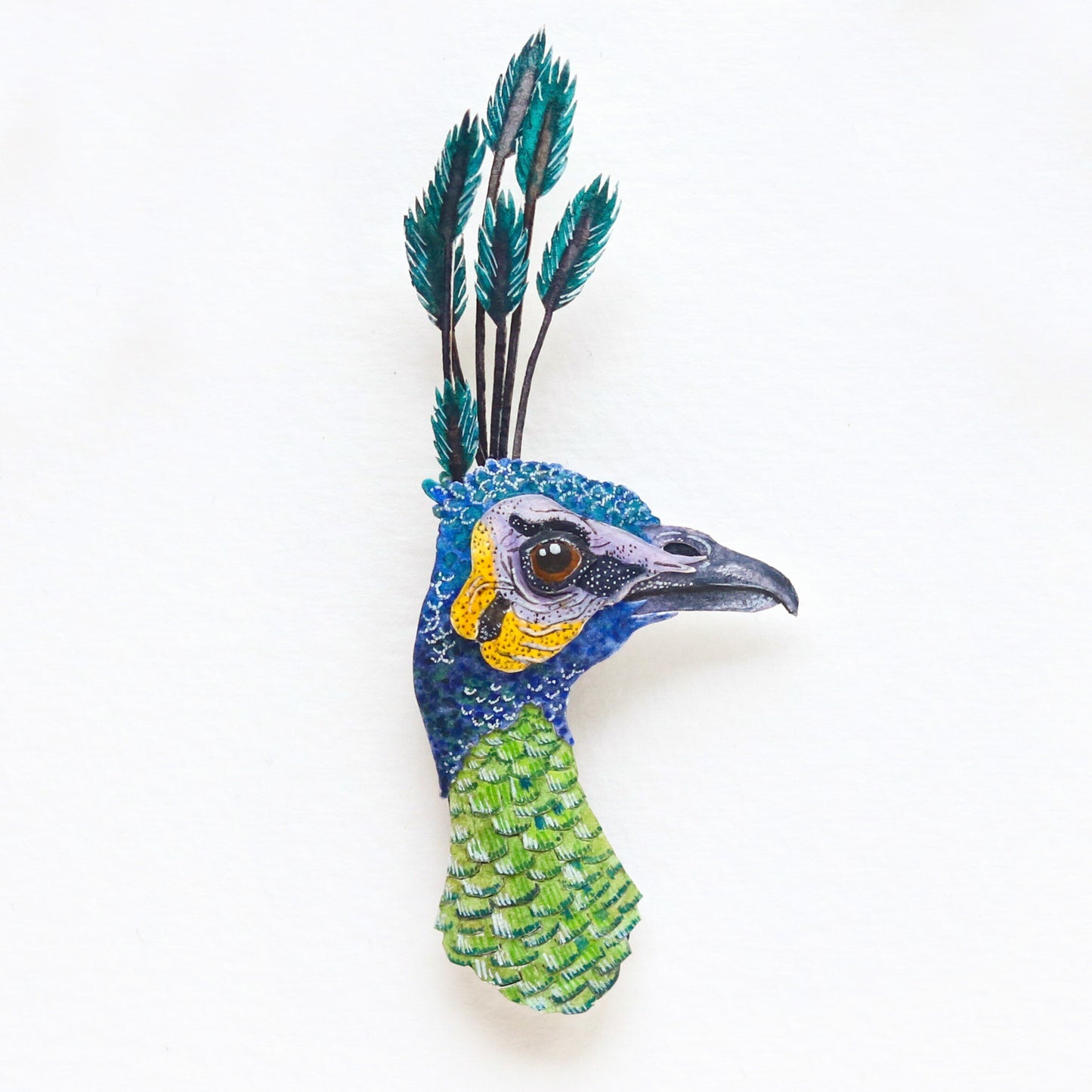 Green Peacock portrait