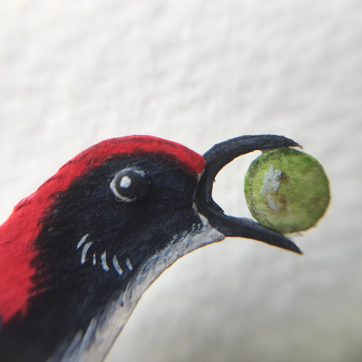 Scarlet Backed Flowerpecker