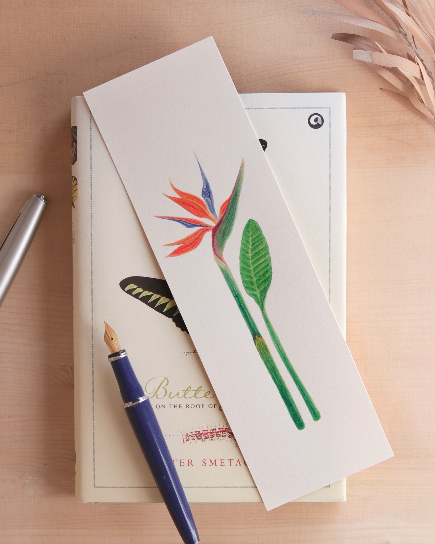 Birds of Paradise flower - Original botanical illustration