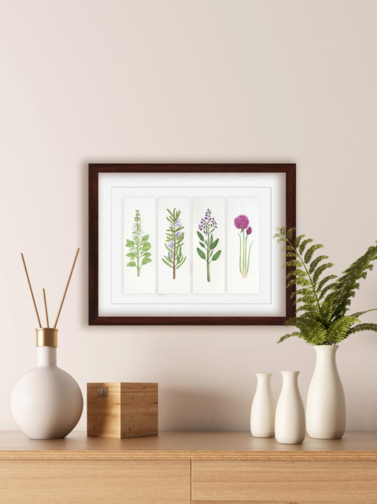 Kitchen Herbs