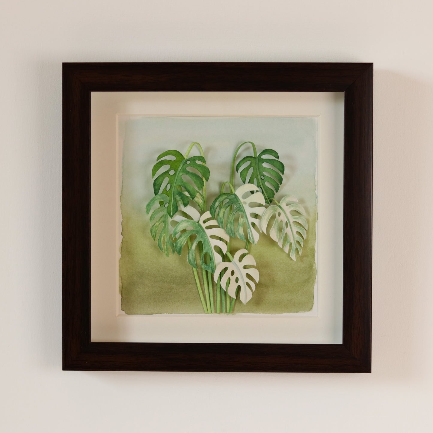 Monstera